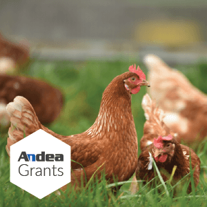 Andea Grants – Open Cages Association